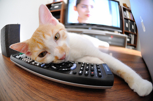 开云app-东亚杯中国青年队战胜 球迷鼓励新人崛起，中国足球东亚杯