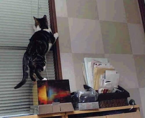 kaiyun网址-全运会主视觉方案公开征集反响热烈，视频全运会