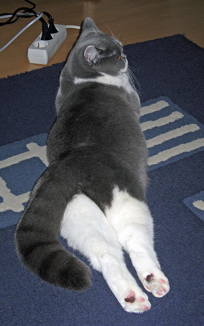 kaiyun开云体育-团队默契增强，接力表现亮眼，团队默契配合