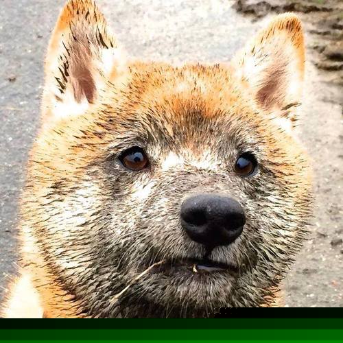 接力项目成绩进步幅度大,接力赛取得的成果