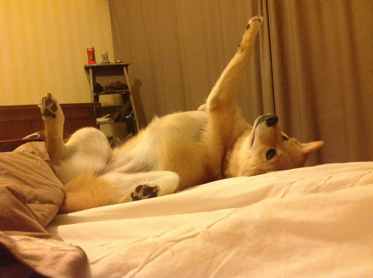 开云体育在线登入-职业联赛选秀制度执行成效如何评估，选秀比赛2020